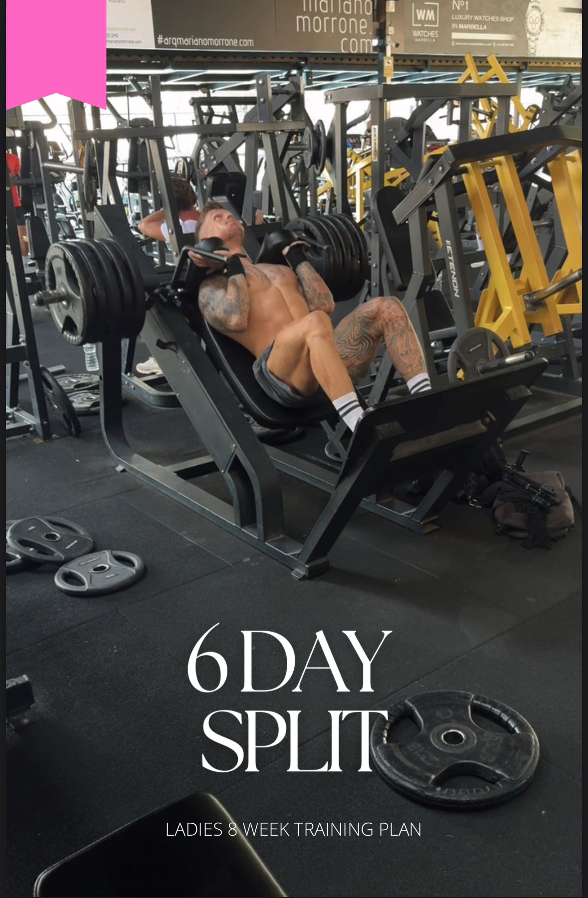 LADIES 8 WEEK TRAINING PLAN 6 DAY SPLIT