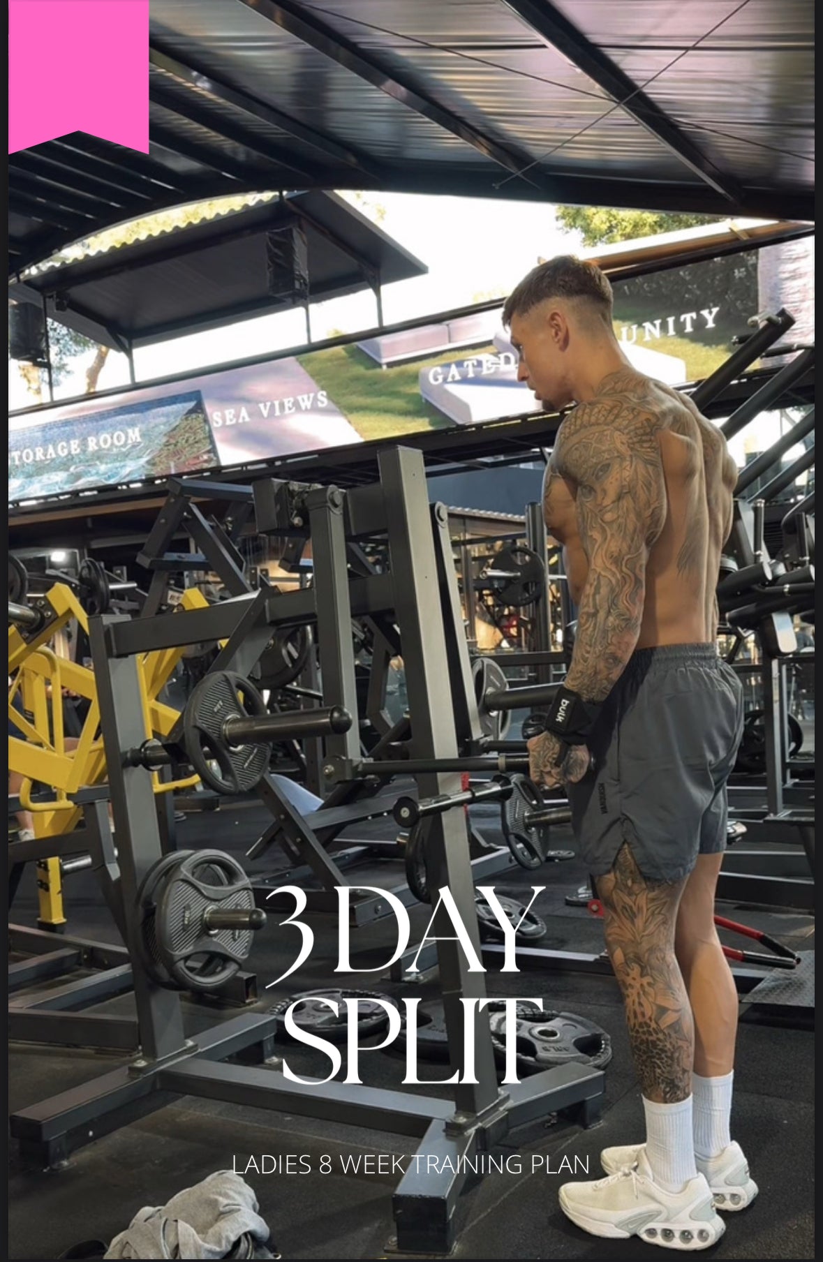 LADIES 8 WEEK TRAINING PLAN 3 DAY SPLIT