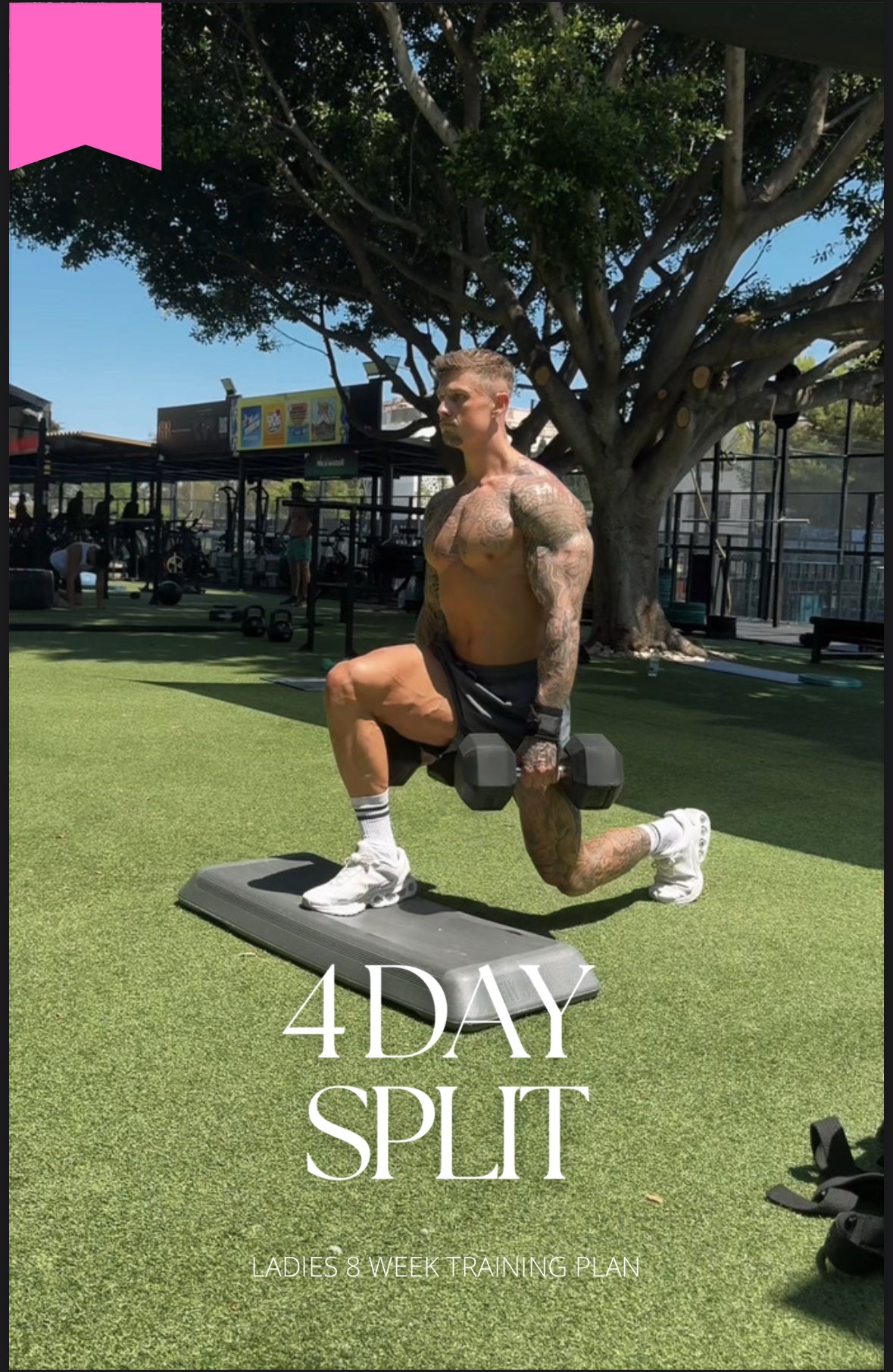 LADIES 8 WEEK TRAINING PLAN 4 DAY SPLIT
